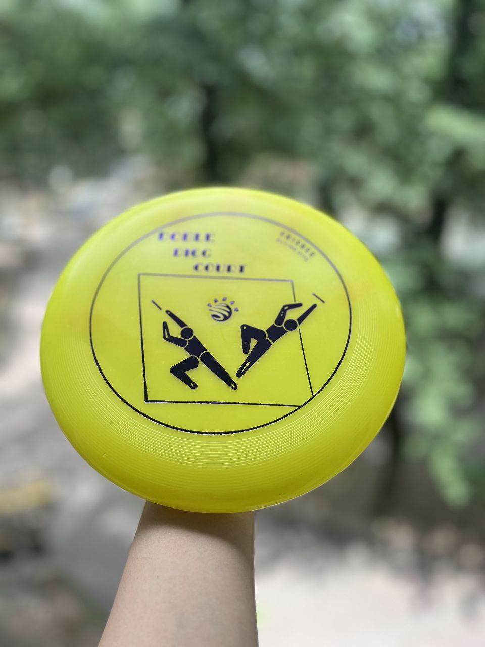 دبل دیسک فریزبی