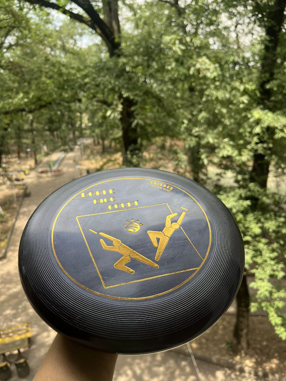 دبل دیسک فریزبی